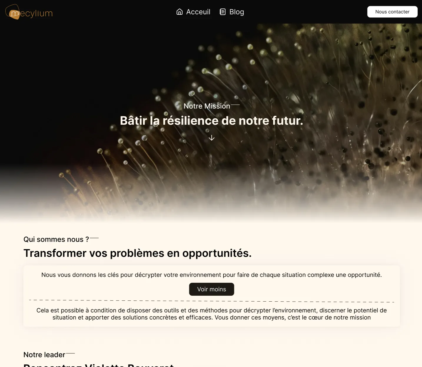 Page d'accueil du site Mecylium